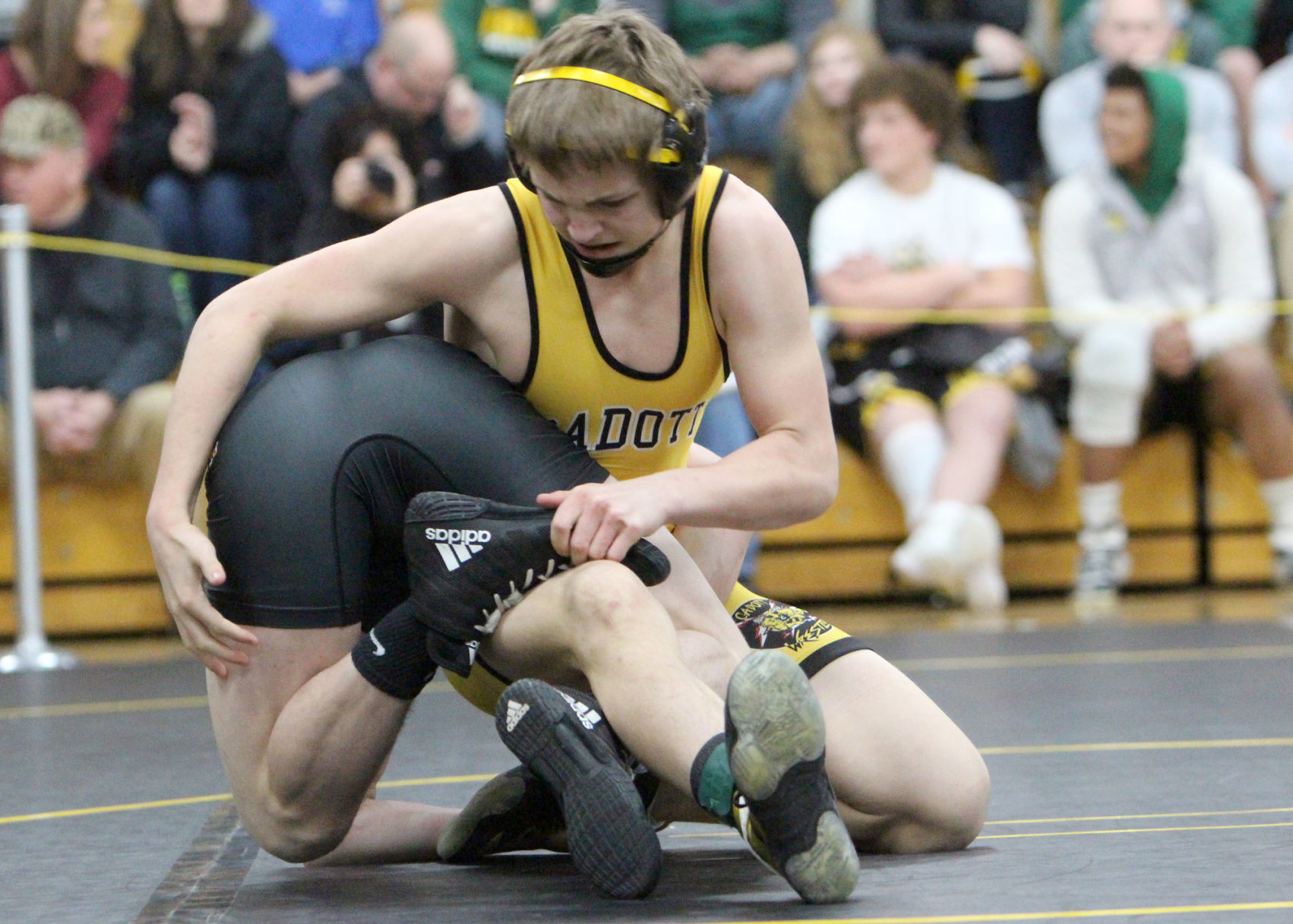 Division 3 Wrestling Regional at Cadott 2-15-20